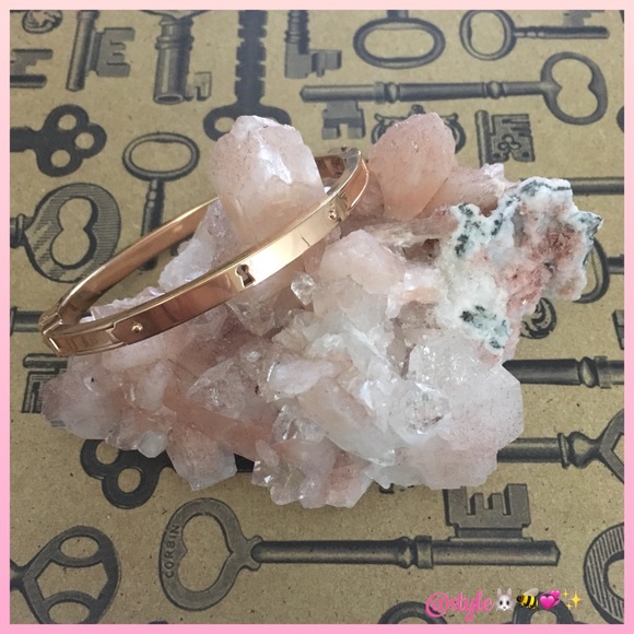 Fossil Jewelry - Fossil EUC Rose-Gold Steel Keyhole Bangle